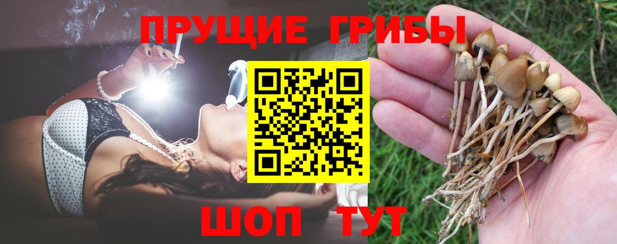 Псилоцибиновые грибы MAGIC MUSHROOMS Алексеевка