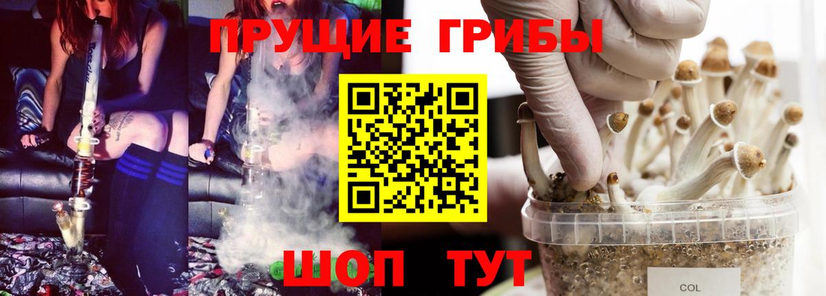 продажа наркотиков  Псилоцибиновые грибы мицелий  Вход с VPN  Алексеевка 